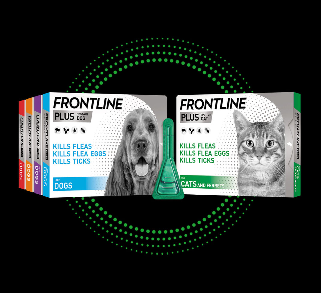  Frontline Plus